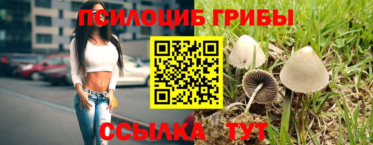 Галлюциногенные грибы мицелий  Вход с VPN  Дубна 