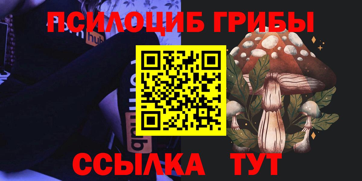 Псилоцибиновые грибы мухоморы Дубна